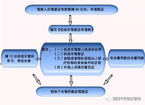 机动车驾驶证申领与使用指南详解