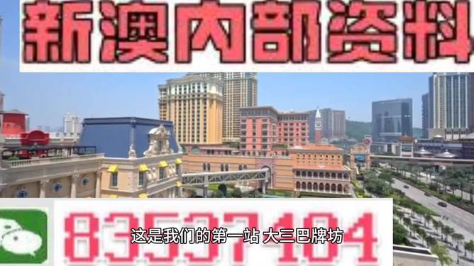 2024澳门精准正版资料大全，现状解答解释落实_HD93.42.19