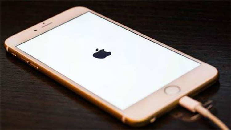 新奥门资料免费2024年，定量解答解释落实_iPhone41.14.38