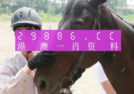 澳门今晚必中一肖一码，精准解答解释落实_GM版27.40.29