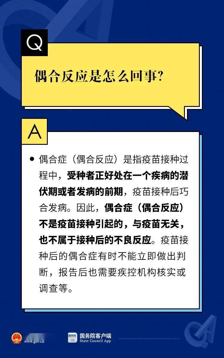 2024新奥门资料大全，深入解答解释落实_WP40.89.42