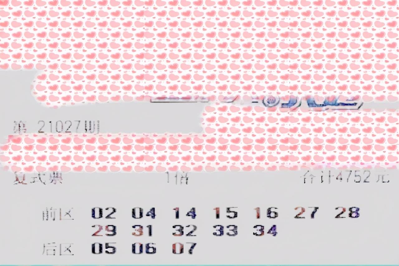 2024最新澳门今晚开奖结果，系统解答解释落实_V版41.93.95