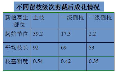 新奥最快最准免费资料，科学解答解释落实_WP64.32.14