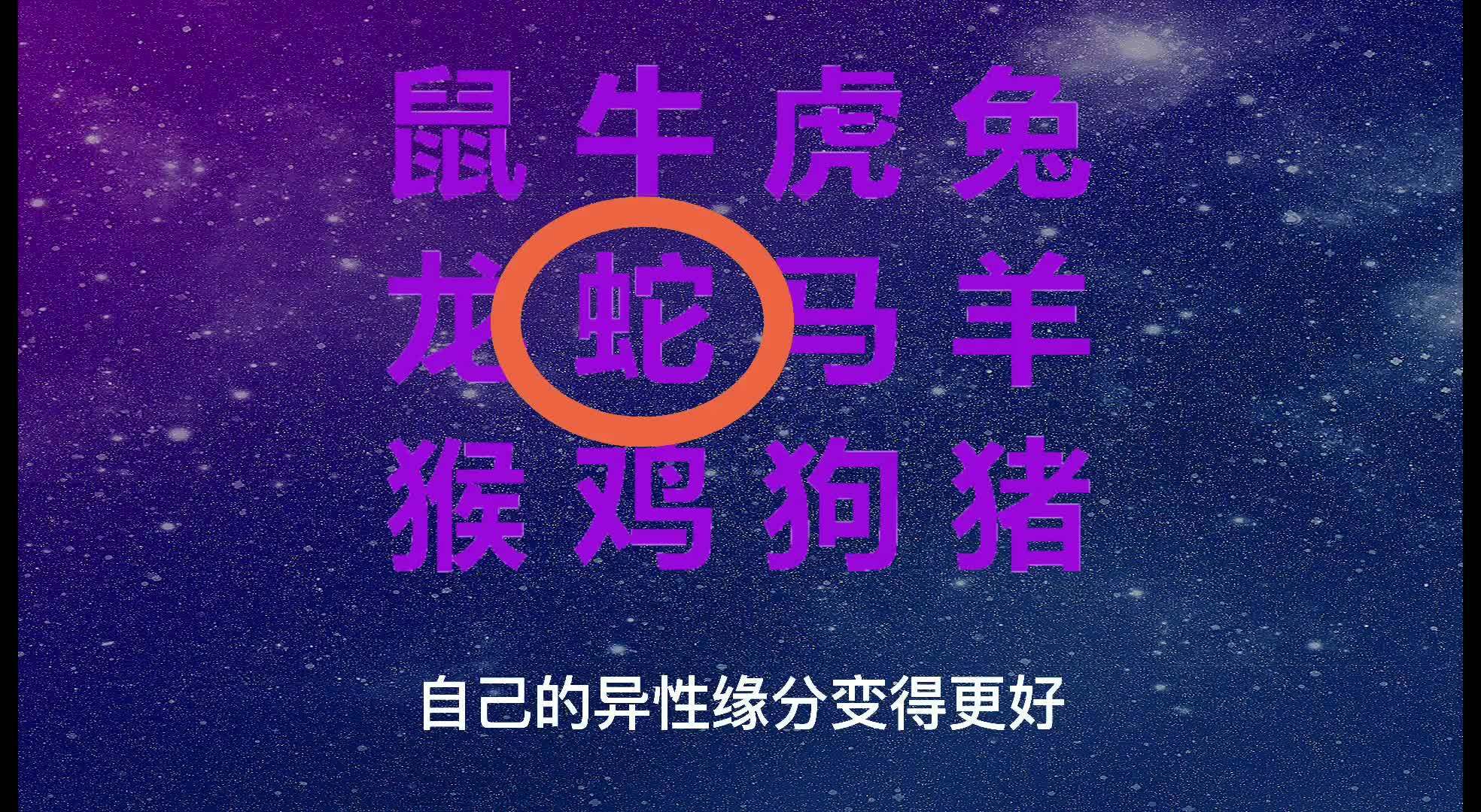 2024澳门今天晚上开什么生肖啊，创新解答解释落实_V59.62.59