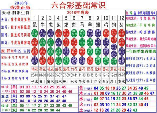 澳门正版资料大全生肖卡，重点解答解释落实_V81.78.81