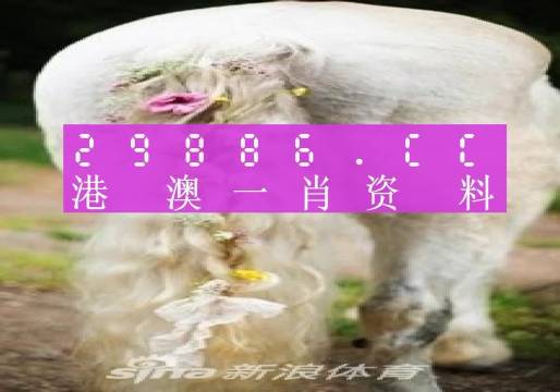 2024澳门正版平特一肖，特别解答解释落实_VIP16.44.96