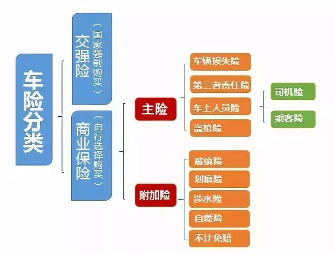 全面解析新车险种，助您明智选择汽车保险方案