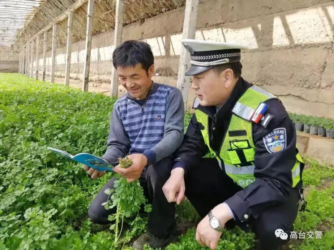 揭秘最新新车上市，引领未来驾驶新风尚，引领智能驾驶新时代